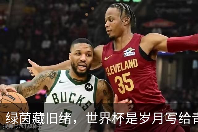 绿茵藏旧绪，世界杯是岁月写给青春的信